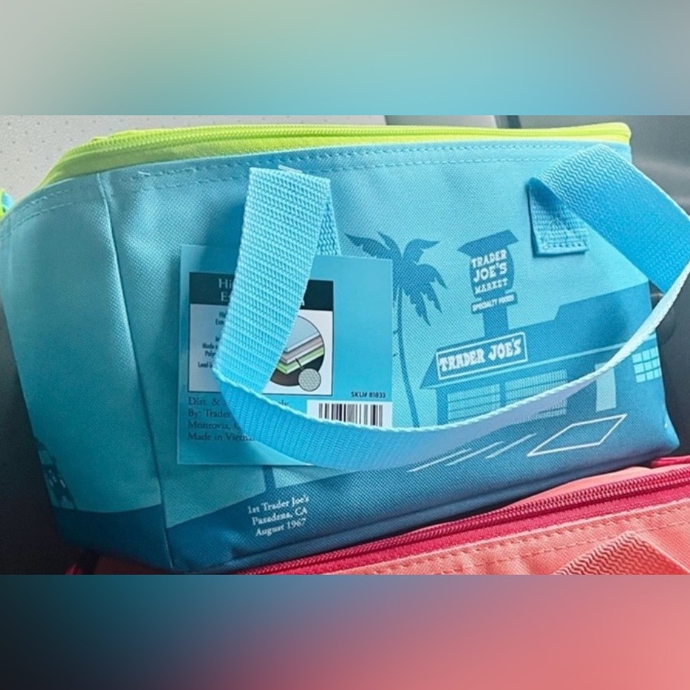 Trader Joe’s Mini Insulated Tote Bag